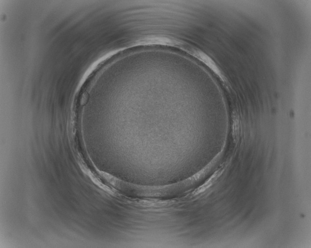 X0000081631116200701151418