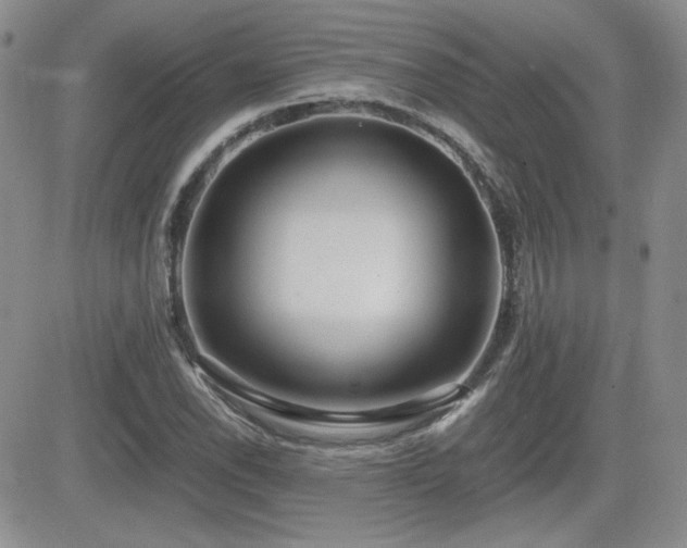 X0000081631118200701151418