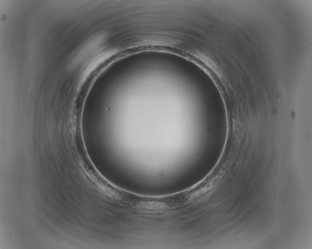 X0000081631119200701151418