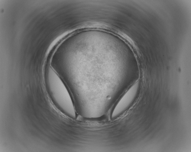 X0000081631120200701151418