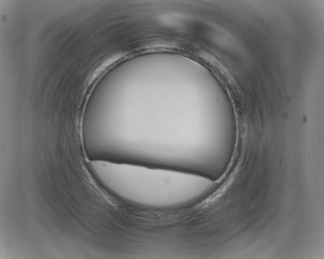 X0000081631121200701151418