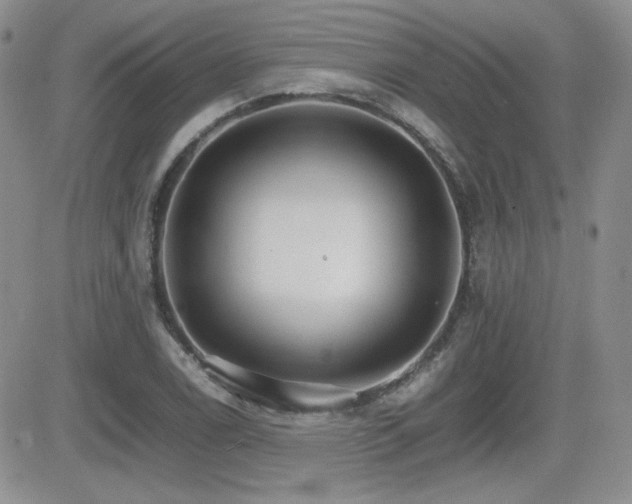 X0000081631122200701151418