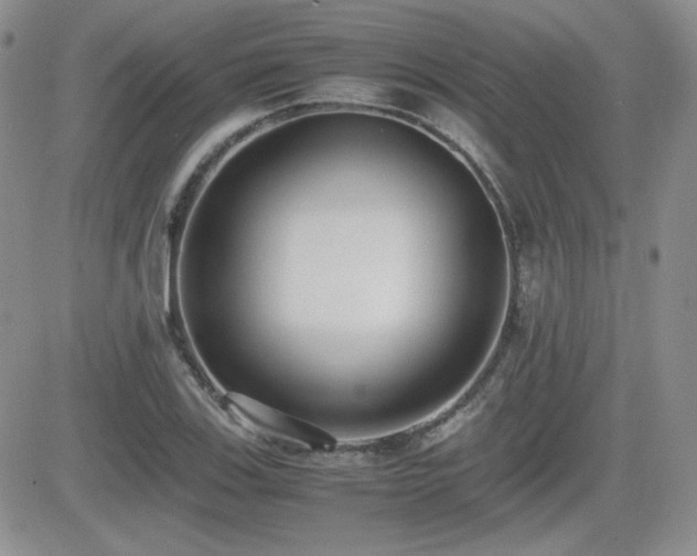 X0000081631123200701151418