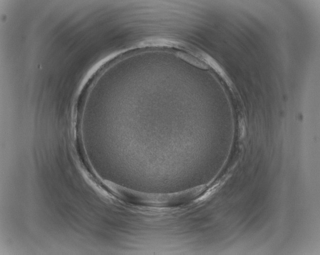 X0000081631124200701151418