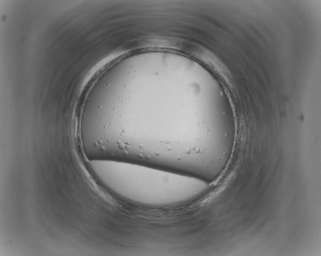 X0000081631125200701151418