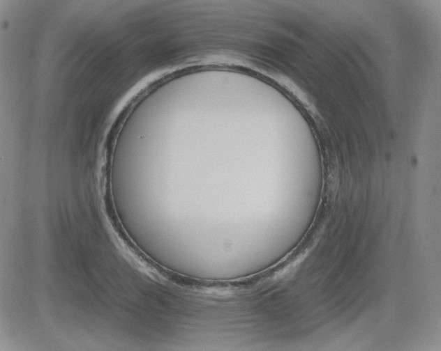 X0000081631126200701151418