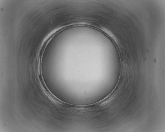X0000081631127200701151418