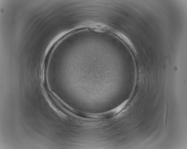 X0000081631128200701151418