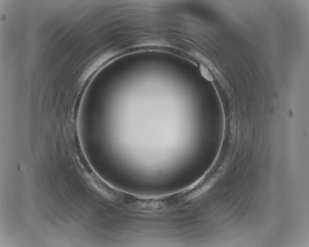 X0000081631129200701151418