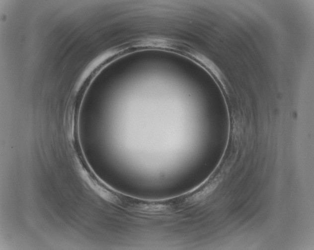 X0000081631131200701151418