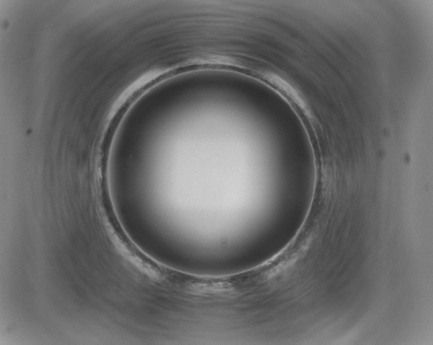 X0000081631133200701151418