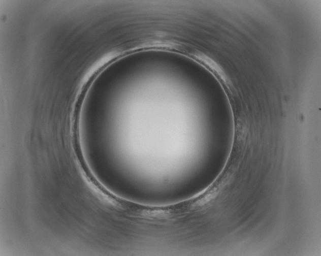 X0000081631135200701151418
