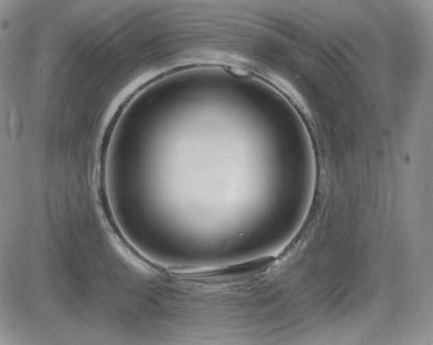 X0000081631136200701151418
