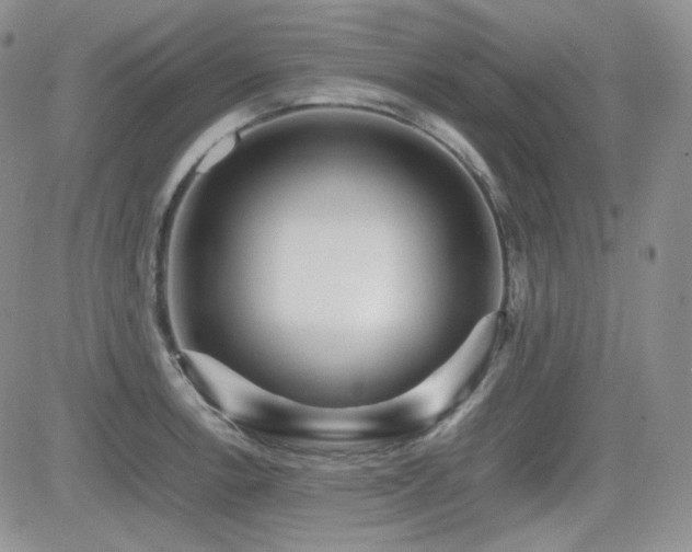 X0000081631138200701151418