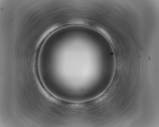 X0000081631139200701151418
