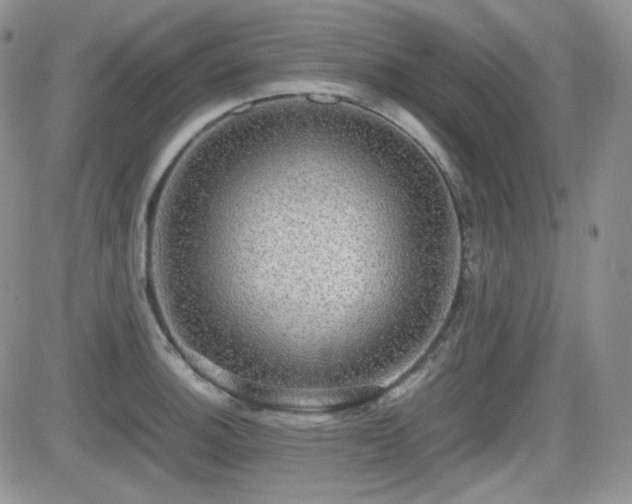 X0000081631140200701151418