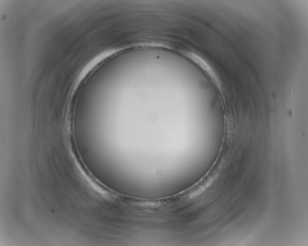 X0000081631141200701151418