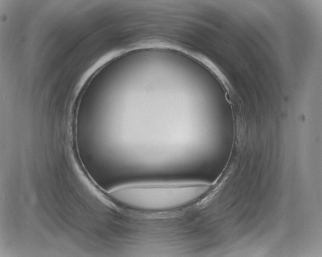 X0000081631142200701151418