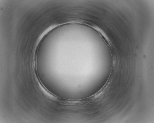 X0000081631143200701151418
