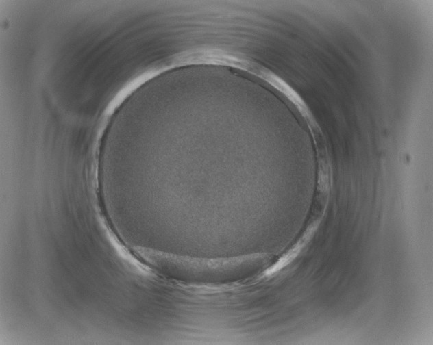 X0000081631144200701151418