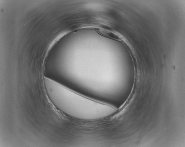 X0000081631145200701151418