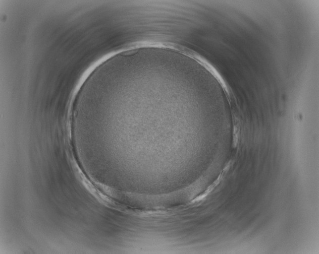 X0000081631148200701151418