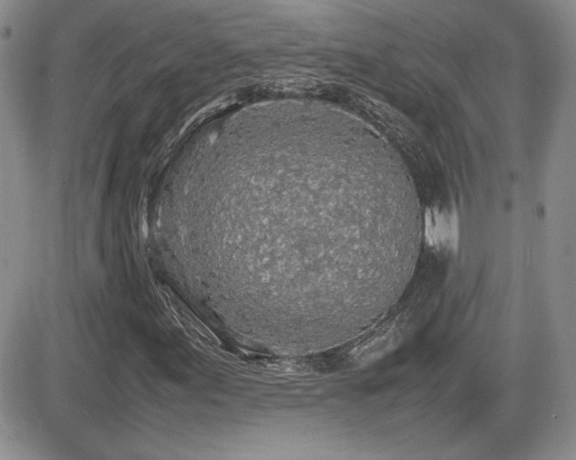 X0000081631155200701151418