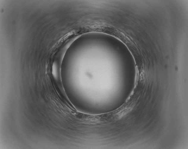 X0000081631156200701151418