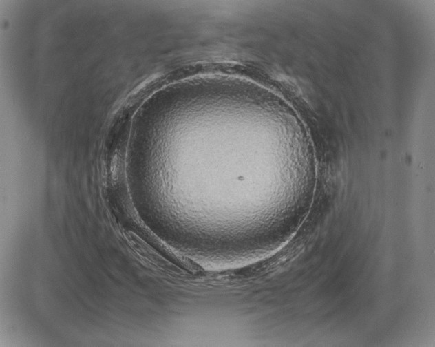 X0000081631159200701151418