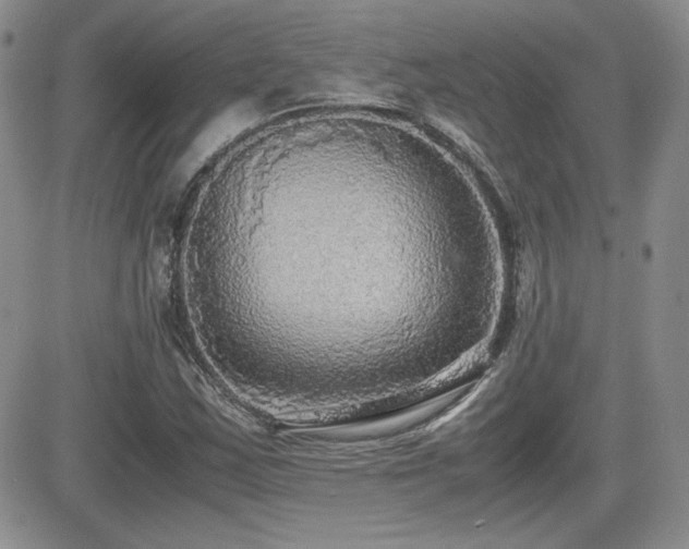 X0000081631163200701151418