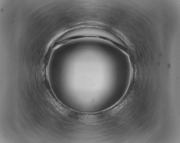 X0000081631164200701151418