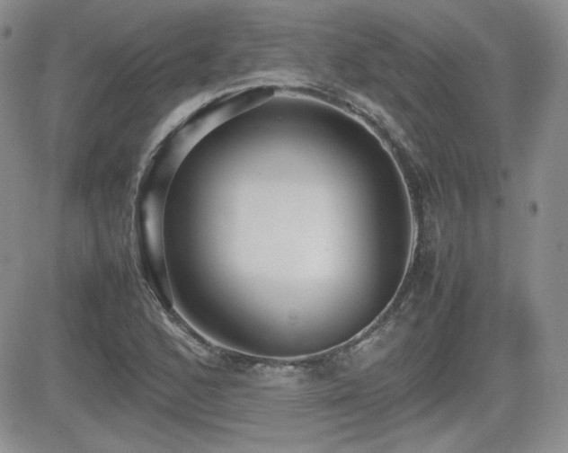 X0000081631168200701151417