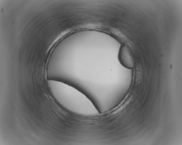 X0000081631170200701151417
