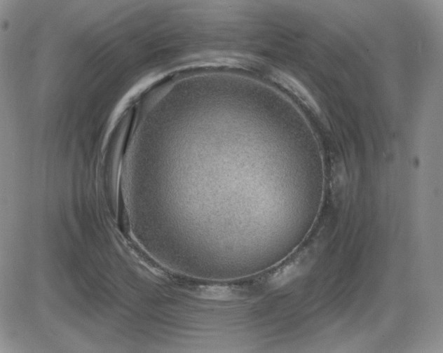 X0000081631172200701151417