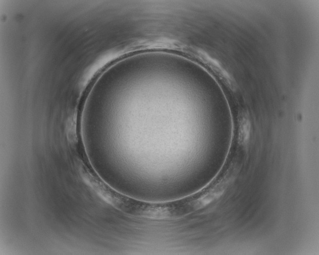 X0000081631174200701151417