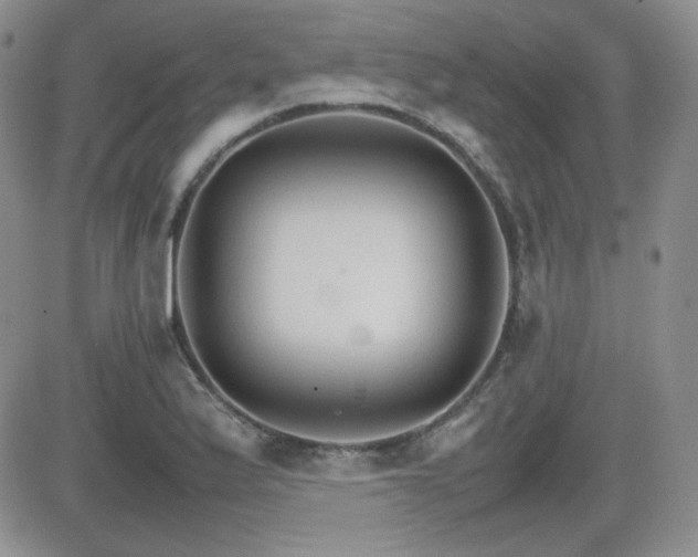 X0000081631175200701151417