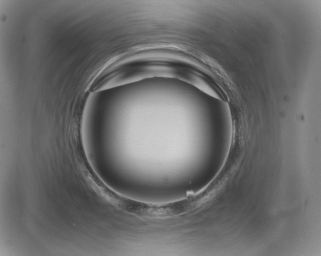 X0000081631177200701151417