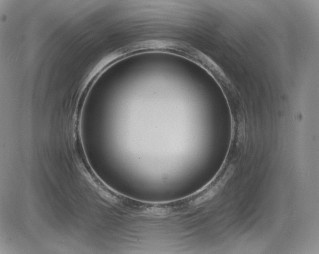 X0000081631178200701151417
