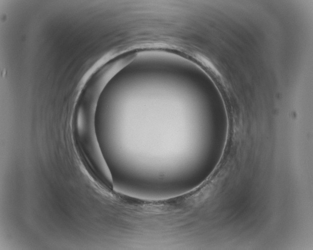 X0000081631181200701151417