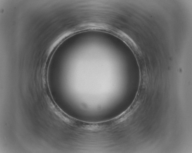 X0000081631182200701151417
