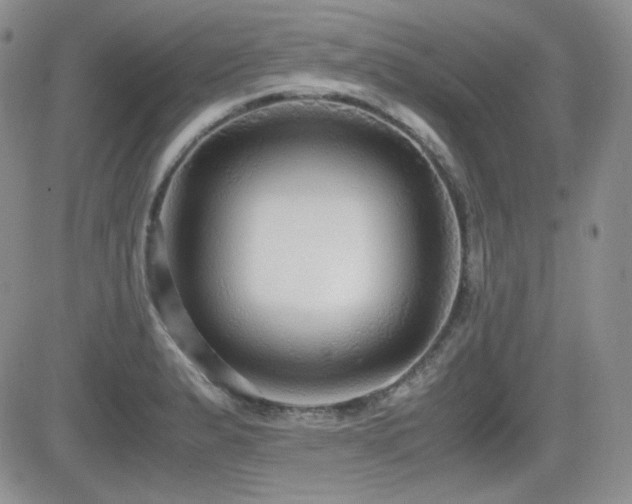 X0000081631183200701151417