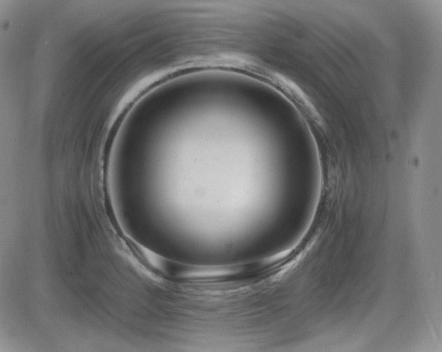 X0000081631184200701151417
