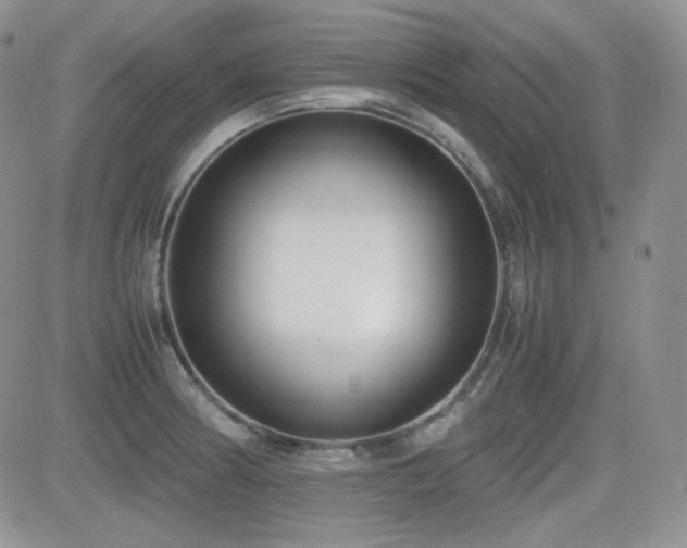 X0000081631186200701151417