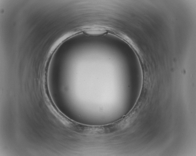 X0000081631187200701151417