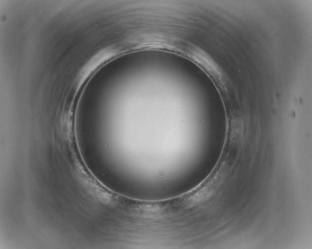 X0000081631190200701151417