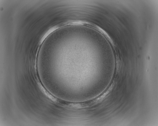 X0000081631194200701151417