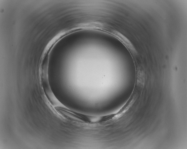 X0000081631196200701151417
