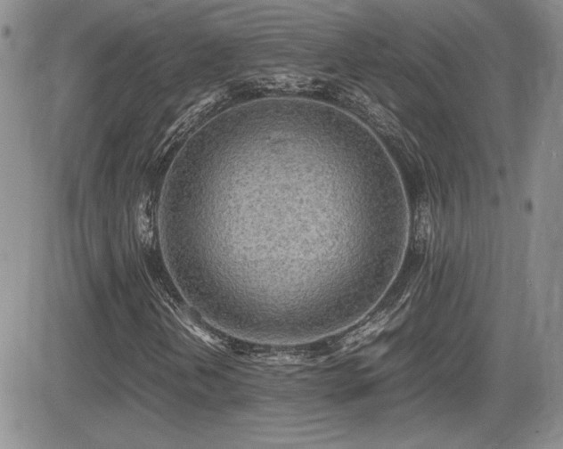 X0000081631202200701151416