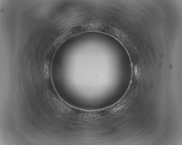 X0000081631203200701151416