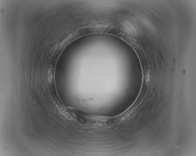 X0000081631204200701151416